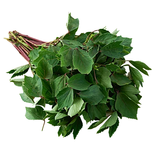 Gongura