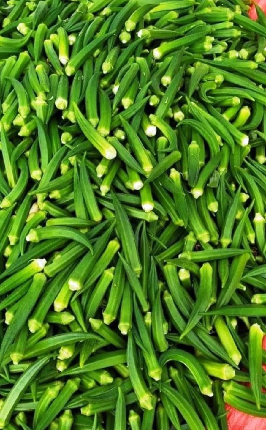 Lady Finger