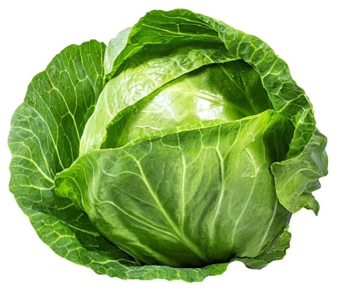 Cabbage