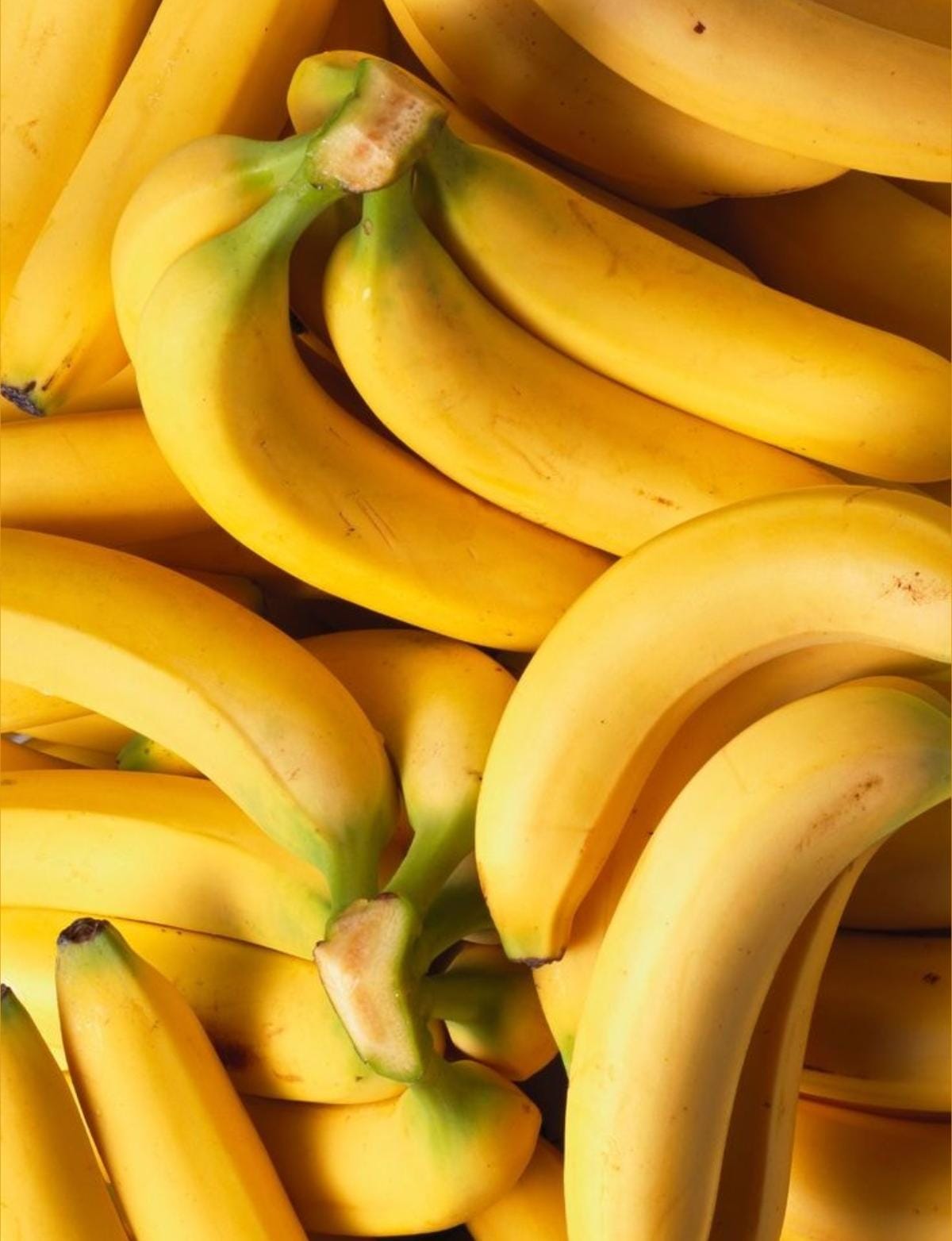 Banana Robusta