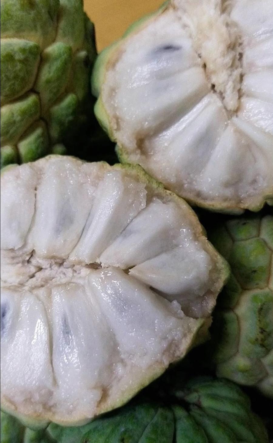 Custard Apple (Seethaphal)