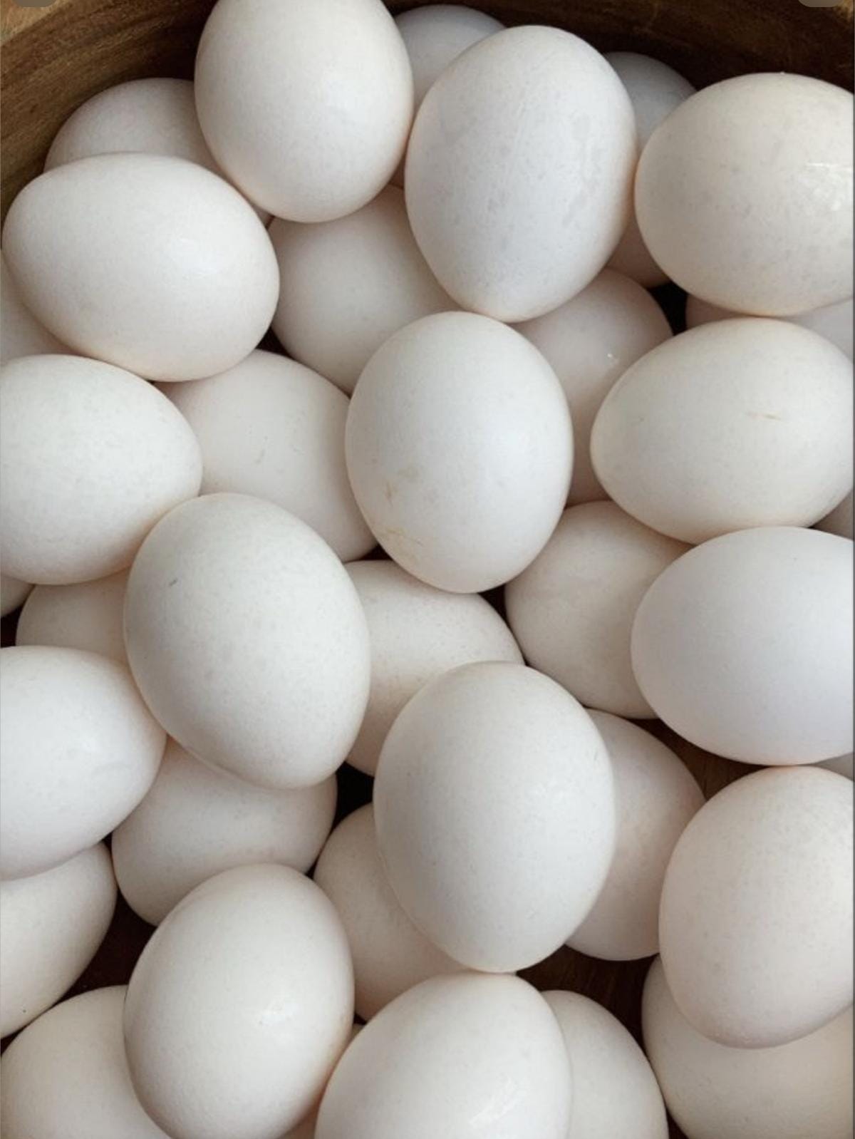 White/Table Eggs